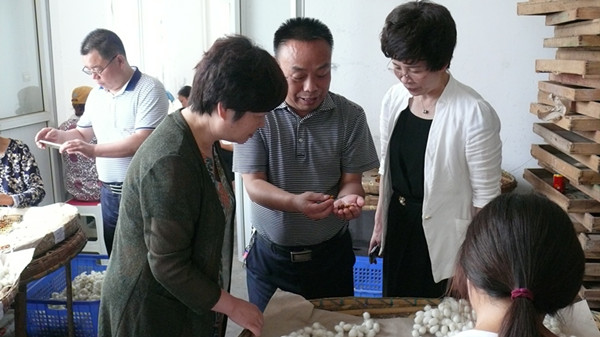 市财政局、林业局领导深入市蚕种场走访调研