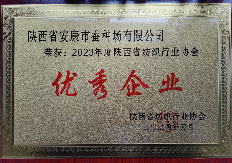陕西省纺织行业协会优秀企业