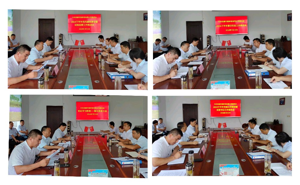 提升党建工作质效，赋能公司高质量发展