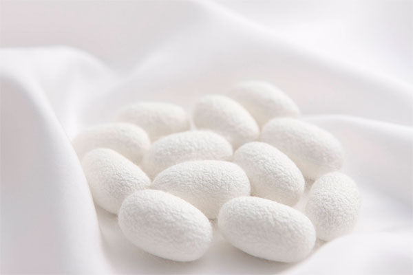 蚕丝的保健功能，蚕丝被有哪些好处？