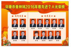 市蚕种场2016年度光荣榜