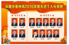 市蚕种场2016年度光荣榜