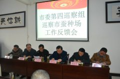 市委第四巡察组在市蚕种场召开巡察工作反馈会