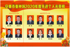 安康市蚕种场2020年度先进个人光荣榜